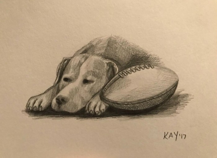 ADAE91A2-9D15-4954-8767-037F221074B6